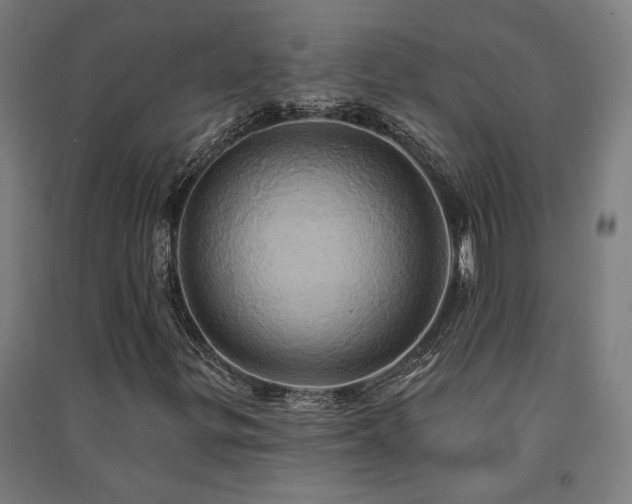 X0000091591299200708201221