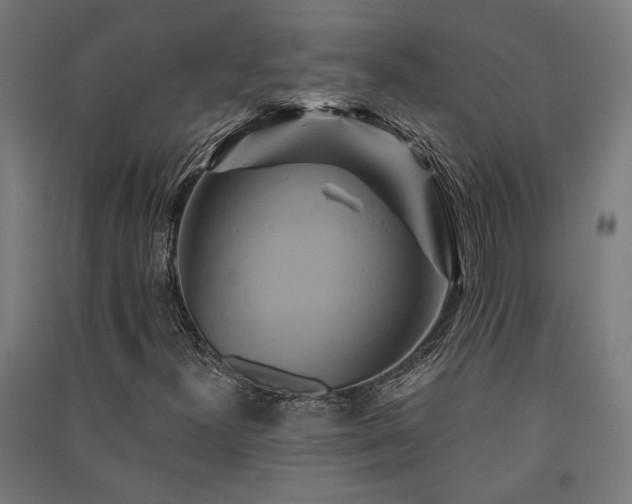 X0000091591300200708201221
