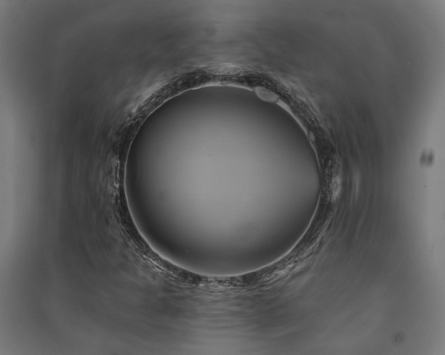 X0000091591301200708201221