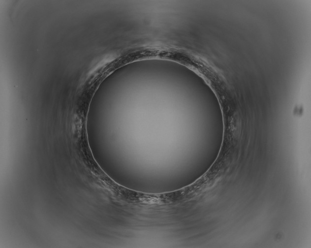 X0000091591302200708201221