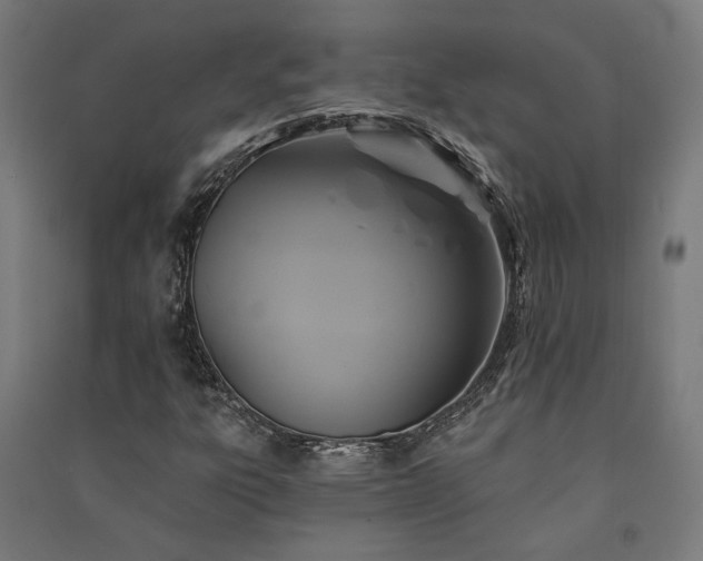 X0000091591303200708201221