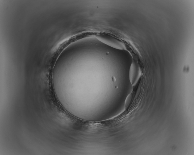 X0000091591304200708201221