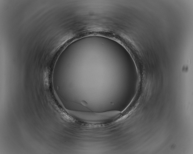 X0000091591305200708201221
