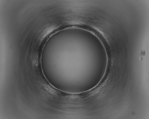 X0000091591306200708201221