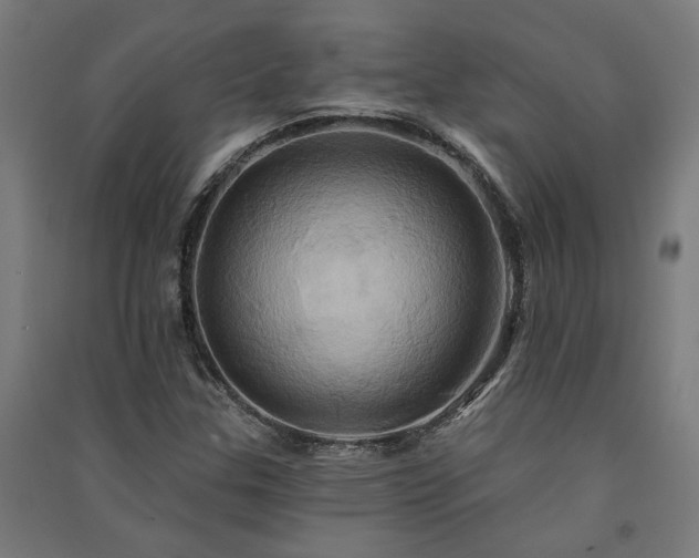 X0000091591307200708201221