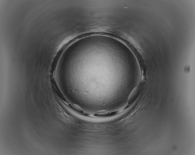 X0000091591308200708201221