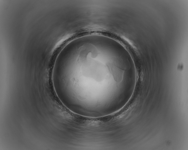 X0000091591309200708201221