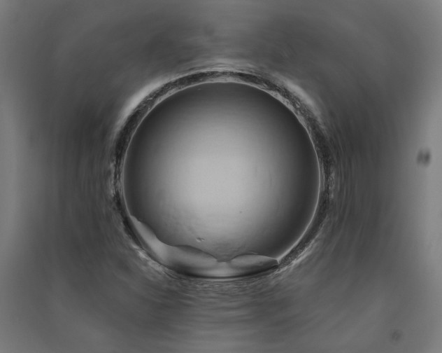 X0000091591310200708201221