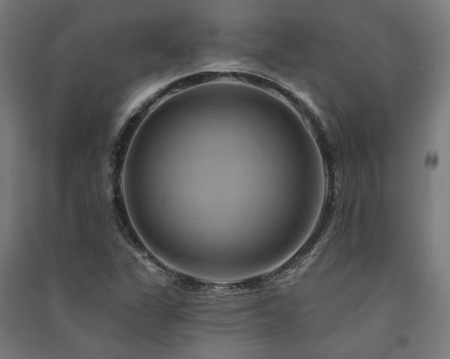 X0000091591311200708201221