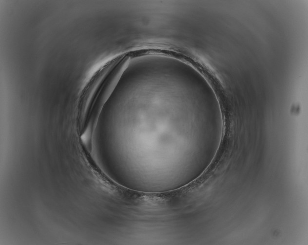X0000091591312200708201221
