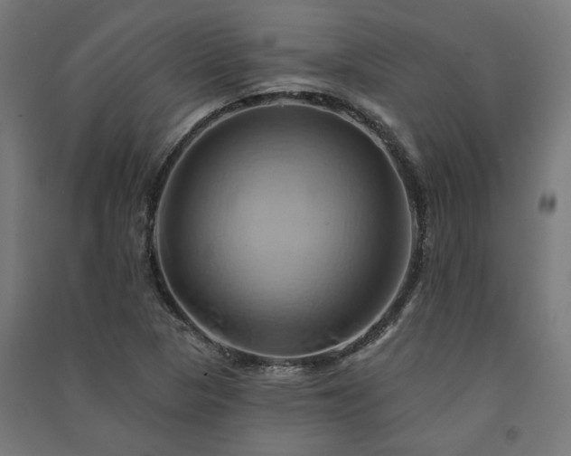 X0000091591313200708201221