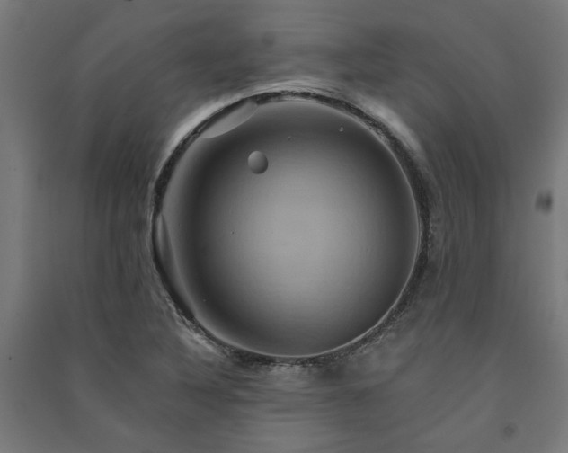 X0000091591316200708201221