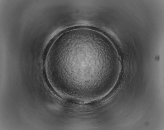X0000091591318200708201221