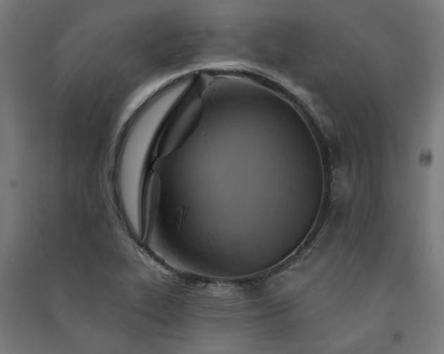 X0000091591319200708201221
