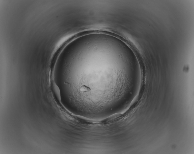 X0000091591320200708201221