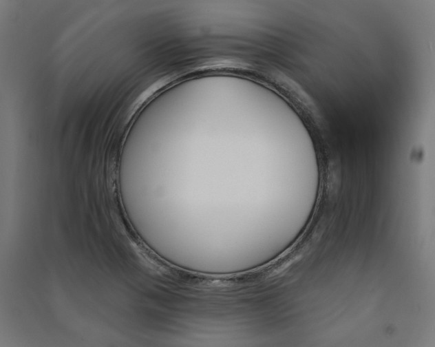 X0000091591321200708201221