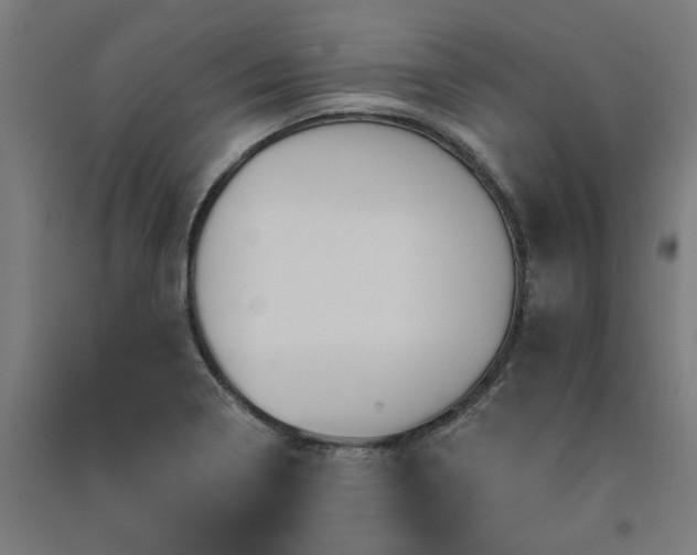 X0000091591322200708201221