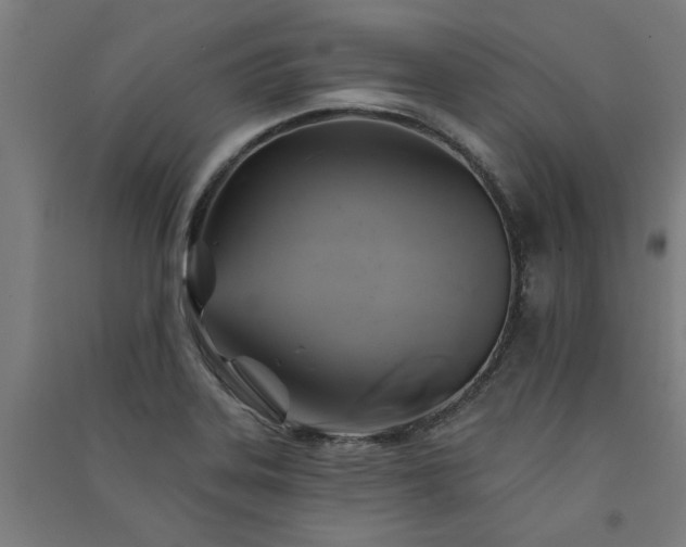 X0000091591323200708201221