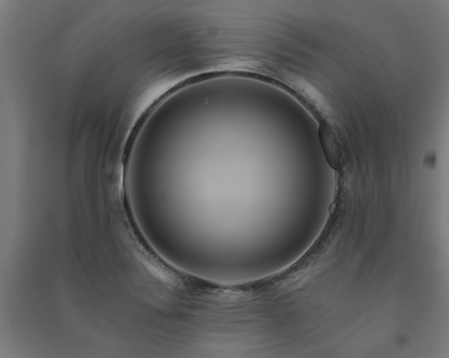 X0000091591324200708201221