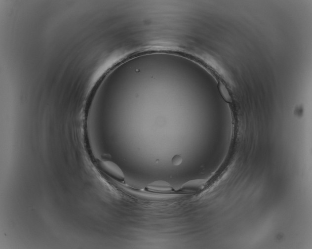 X0000091591325200708201221