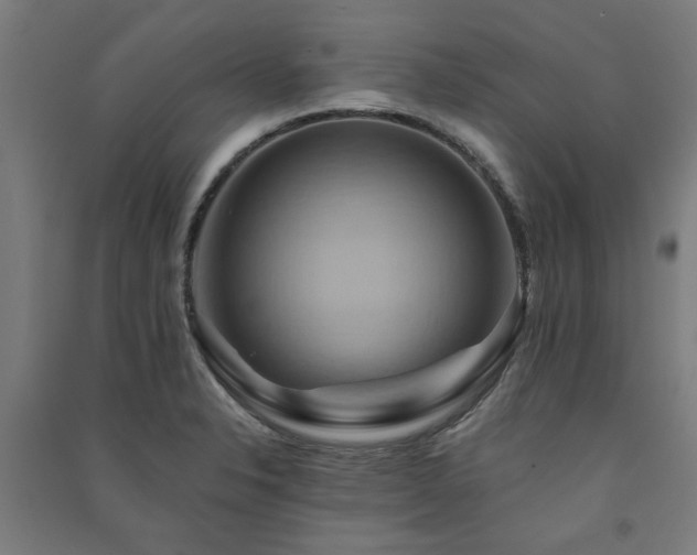 X0000091591326200708201221