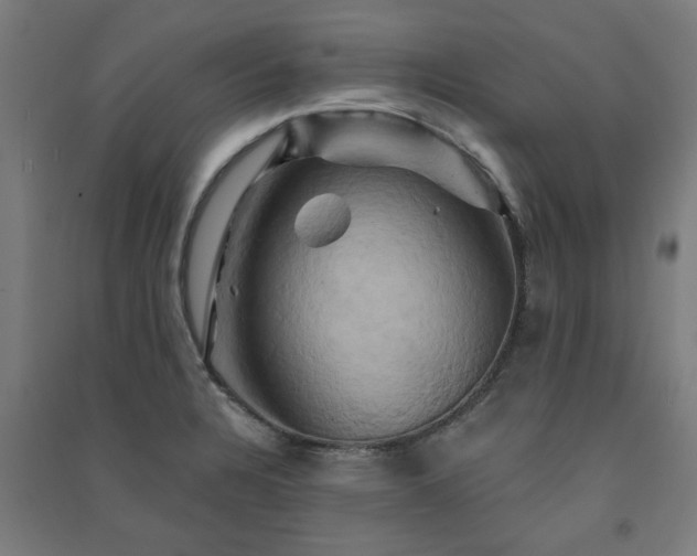 X0000091591328200708201221