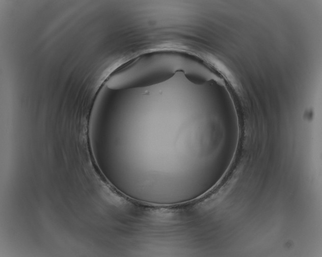 X0000091591329200708201221