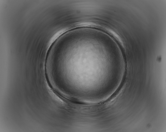 X0000091591330200708201221