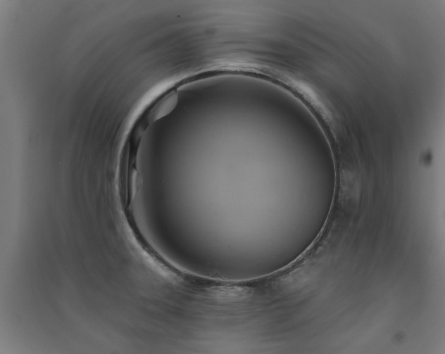 X0000091591331200708201221