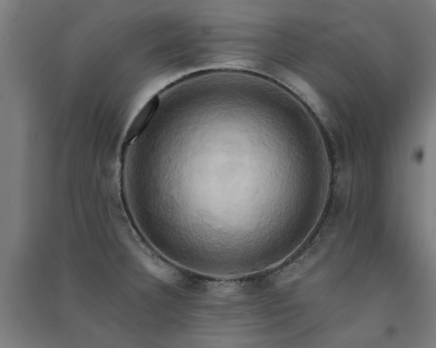 X0000091591332200708201221
