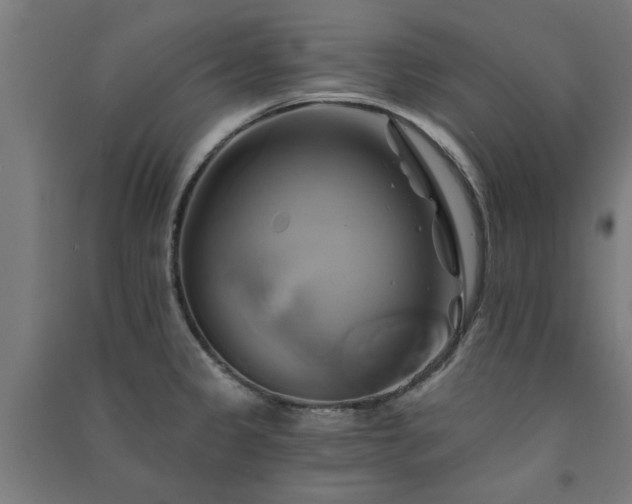 X0000091591333200708201221