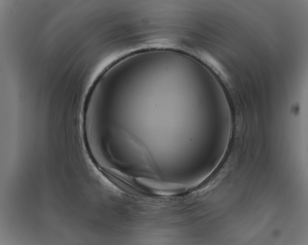 X0000091591334200708201221