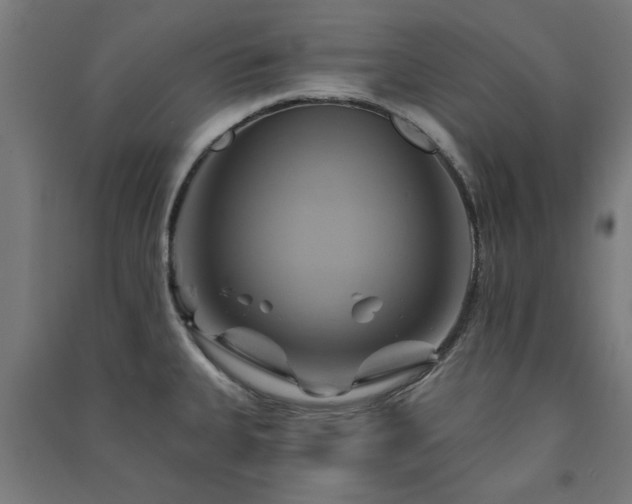 X0000091591335200708201221