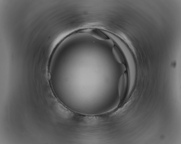 X0000091591336200708201221