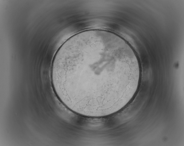 X0000091591338200708201221