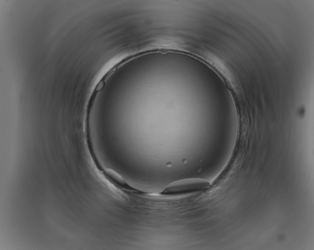 X0000091591339200708201221