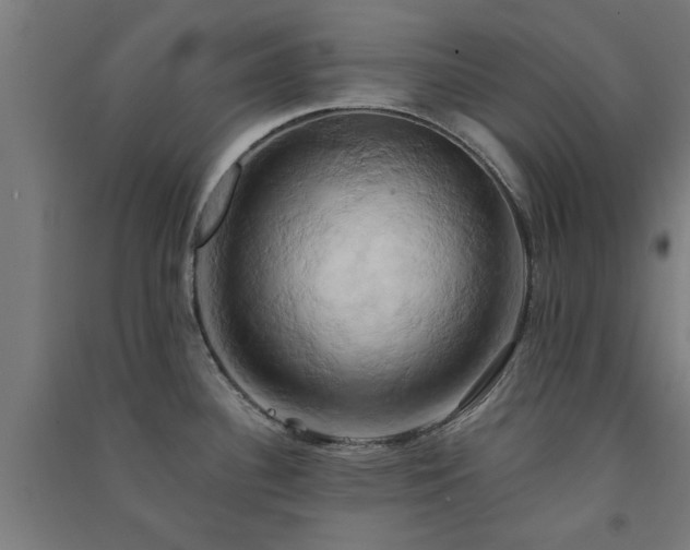 X0000091591340200708201221