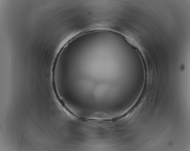 X0000091591341200708201221