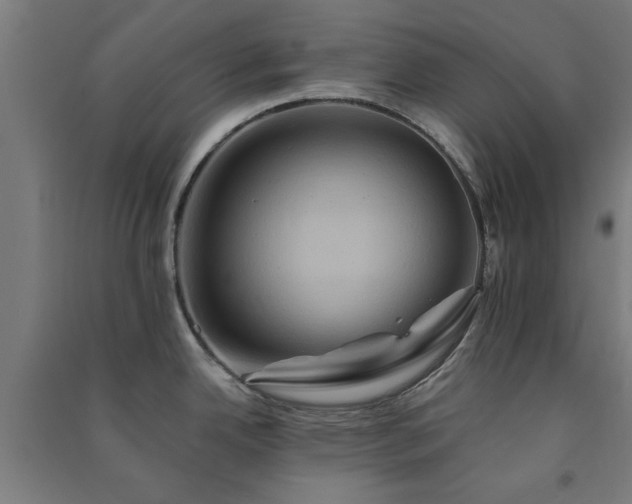 X0000091591342200708201221