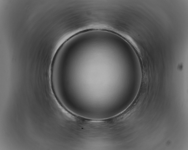 X0000091591343200708201221