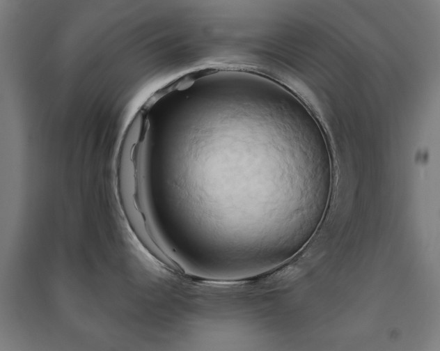 X0000091591344200708201221