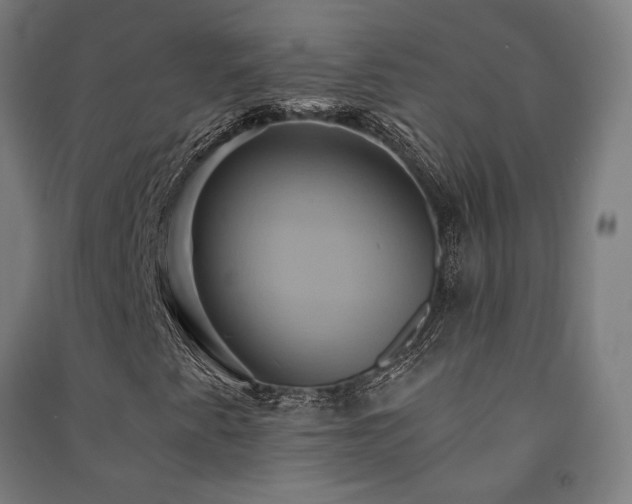 X0000091591345200708201221