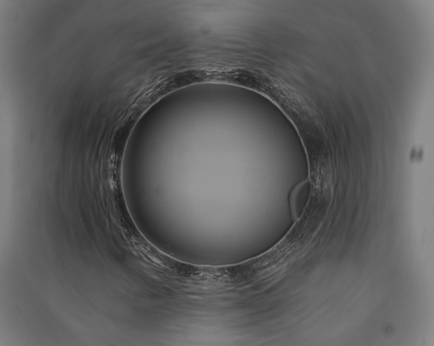 X0000091591346200708201221