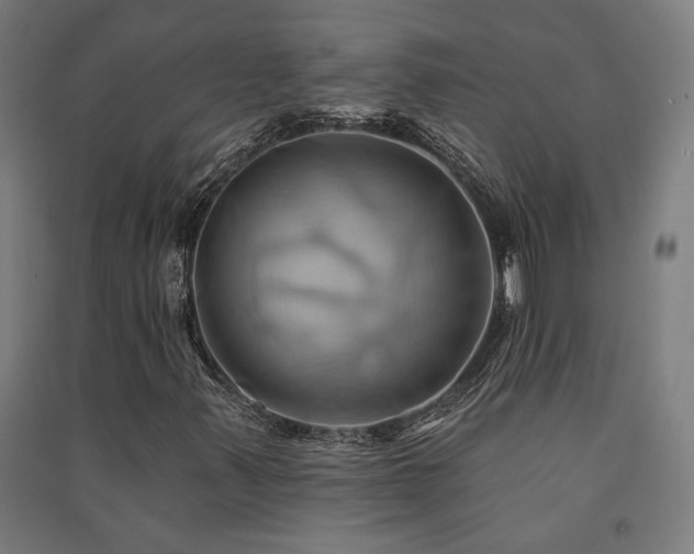 X0000091591347200708201221