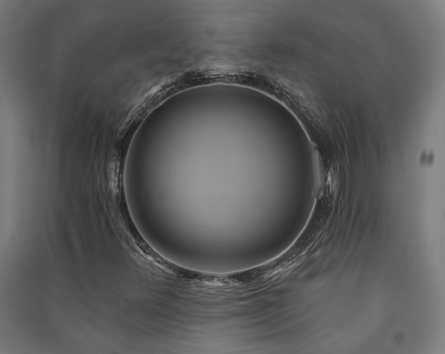 X0000091591348200708201221