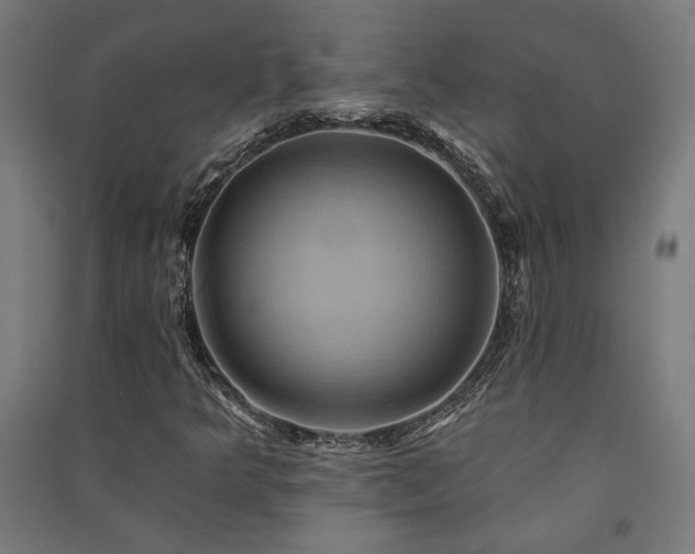 X0000091591349200708201221