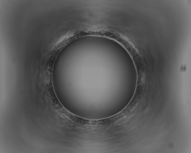 X0000091591350200708201221