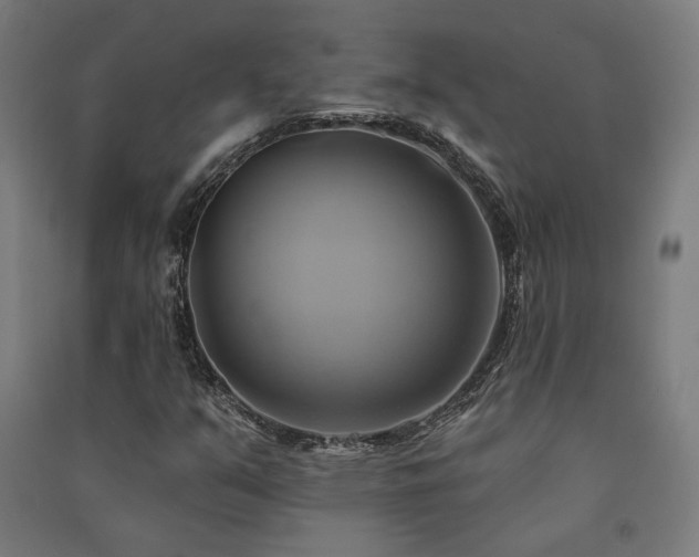 X0000091591351200708201221