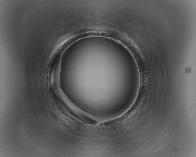 X0000091591352200708201221
