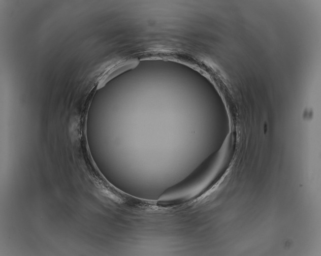 X0000091591353200708201221